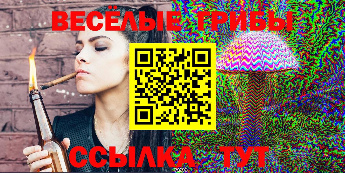 Галлюциногенные грибы Psilocybe Гусев