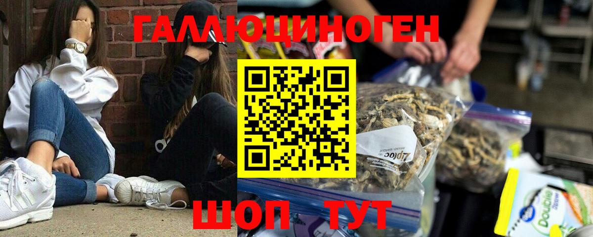 Гусев  Псилоцибиновые грибы Magic Shrooms  Псилоцибиновые грибы Cubensis  Вход с VPN 