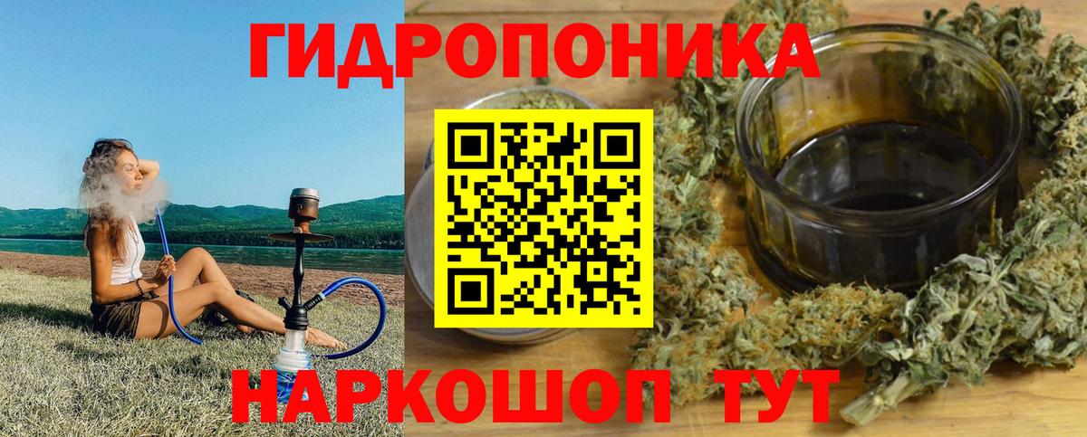 Бошки Шишки VHQ Гусев